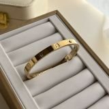 Eternal Unity Diamond Love Bangle