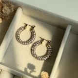 Crystal Radiance Hoop Earrings